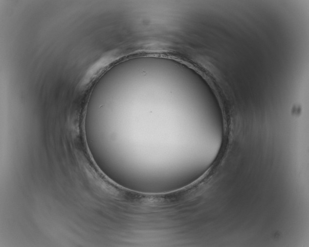X0000111921451200907271237