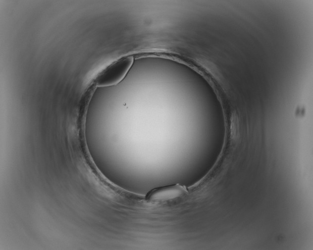 X0000111921452200907271237