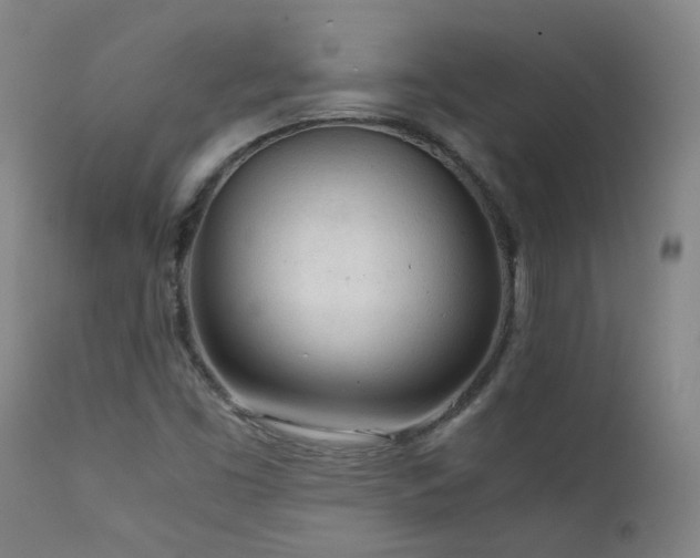 X0000111921453200907271237