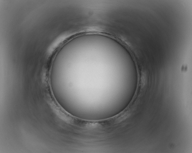 X0000111921454200907271236