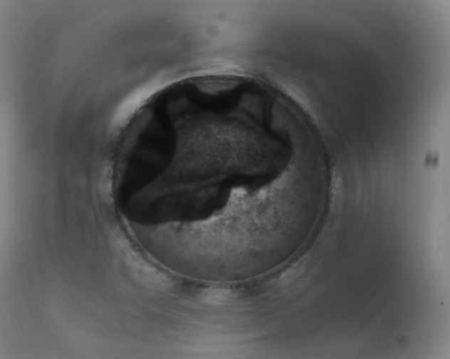 X0000111921455200907271236