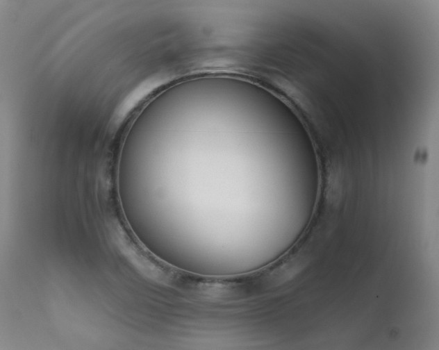 X0000111921458200907271236