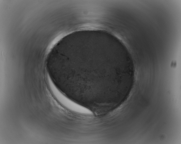 X0000111921459200907271236