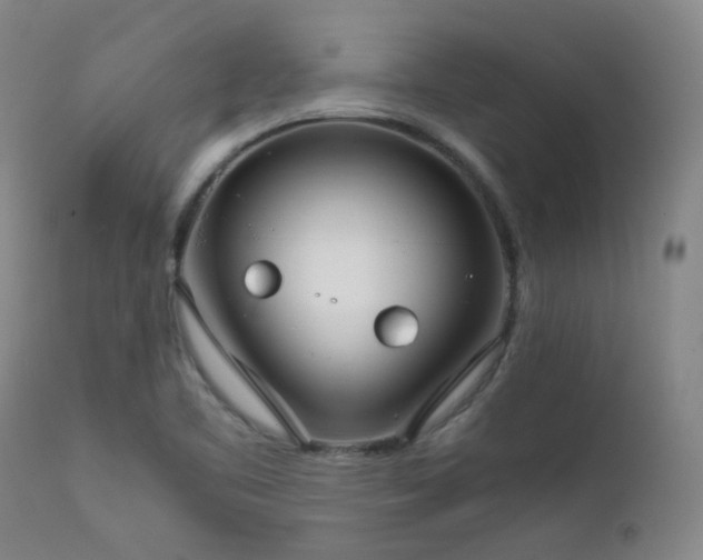 X0000111921461200907271236