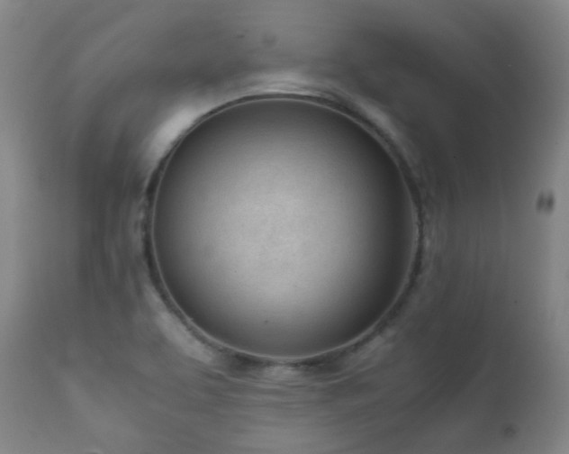 X0000111921463200907271236