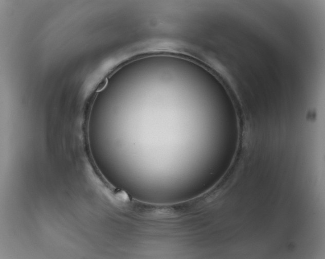 X0000111921464200907271236