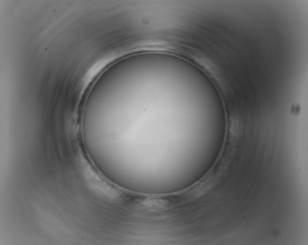 X0000111921466200907271236