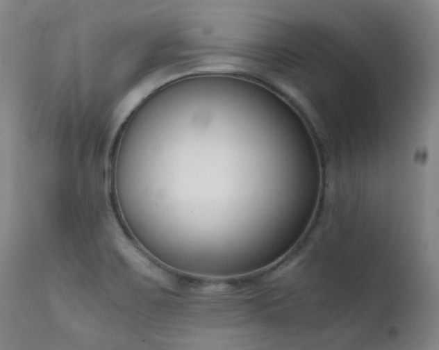 X0000111921467200907271236