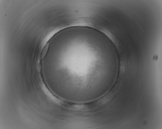 X0000111921468200907271236