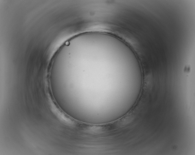 X0000111921470200907271236