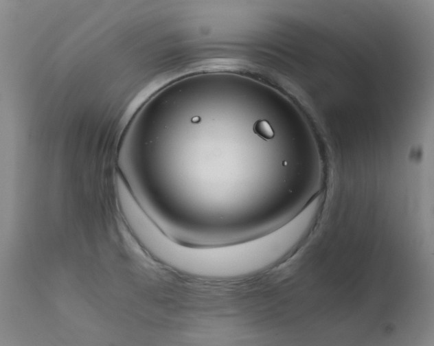 X0000111921473200907271236