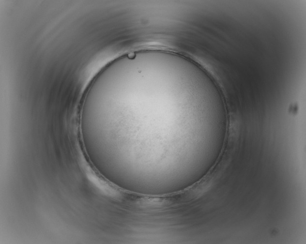 X0000111921474200907271236