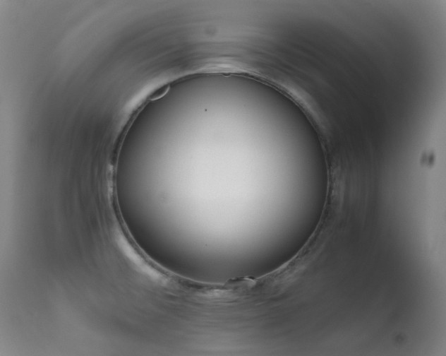 X0000111921476200907271236