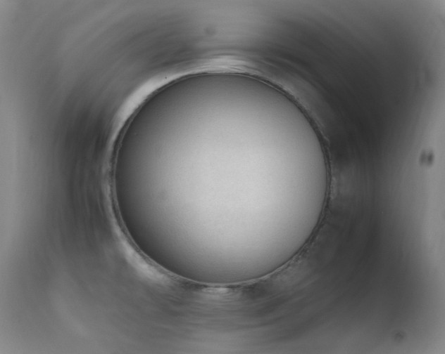 X0000111921478200907271236