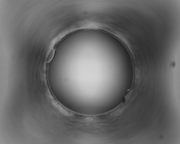 X0000111921480200907271236