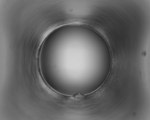 X0000111921483200907271236