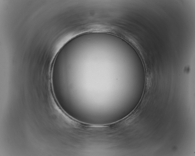 X0000111921487200907271236