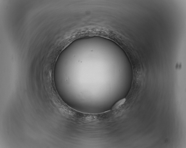 X0000111921489200907271235
