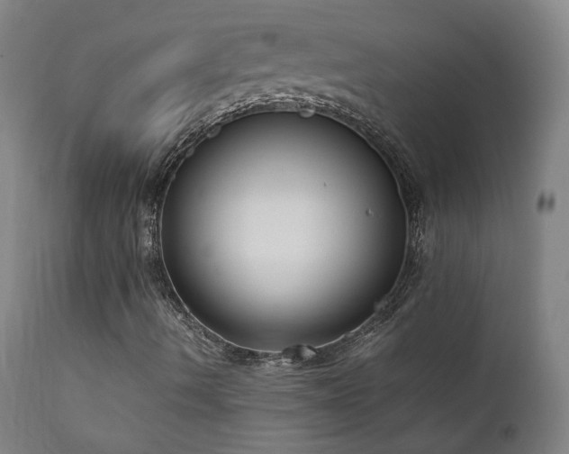X0000111921490200907271235