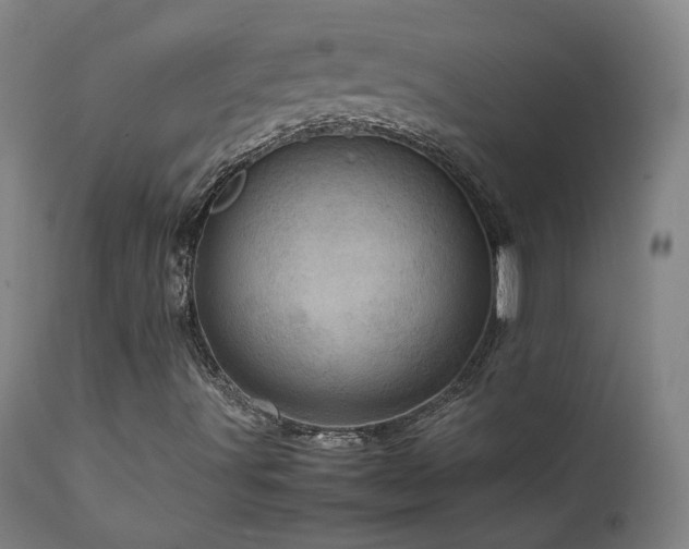 X0000111921491200907271235