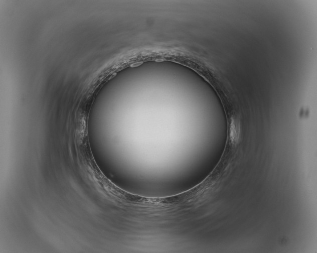 X0000111921492200907271235