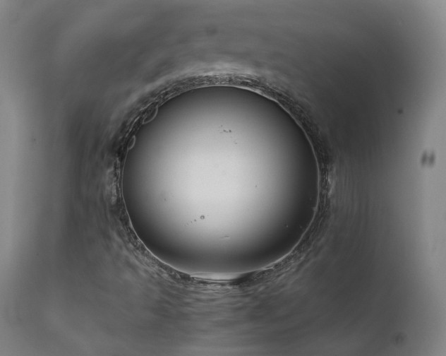 X0000111921493200907271235