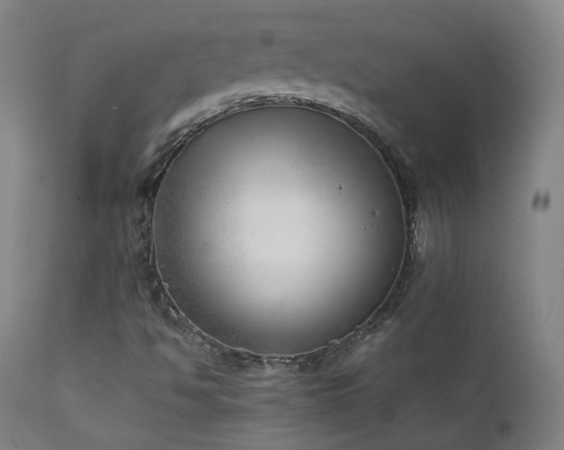 X0000111921494200907271235