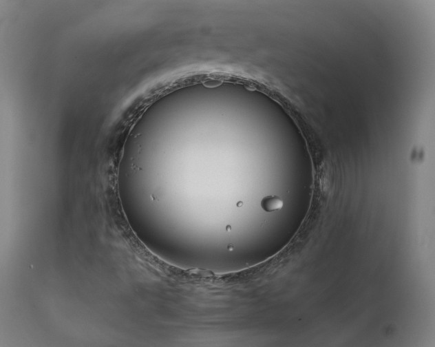 X0000111921495200907271235