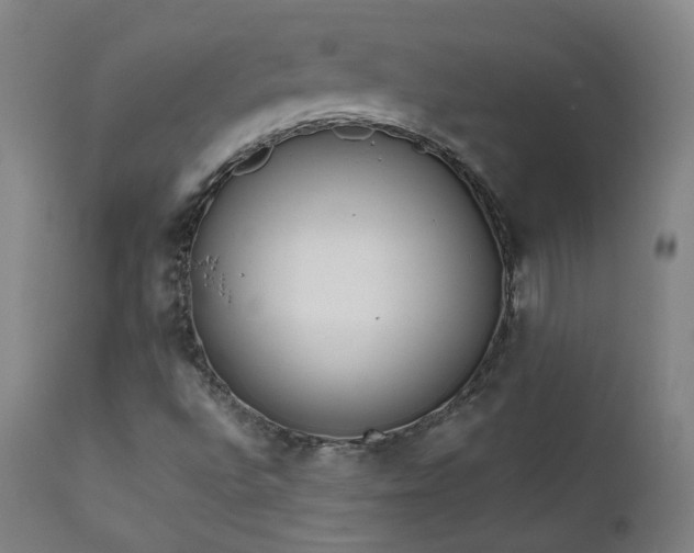 X0000111921496200907271235