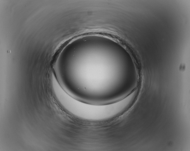 X0000111921497200907271235