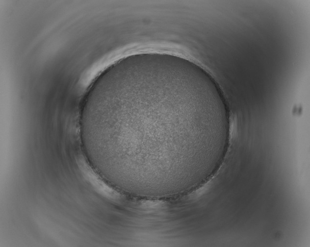 X0000111921498200907271235