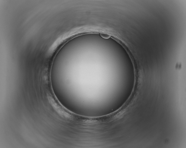 X0000111921499200907271235