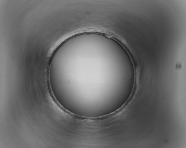 X0000111921500200907271235