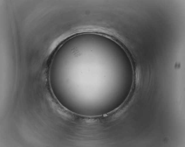 X0000111921501200907271235