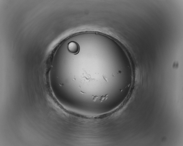 X0000111921502200907271235