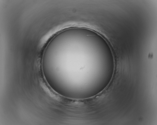 X0000111921503200907271235