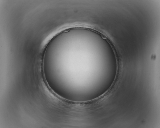 X0000111921504200907271235