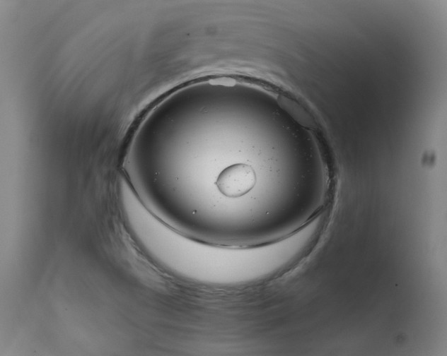 X0000111921505200907271235