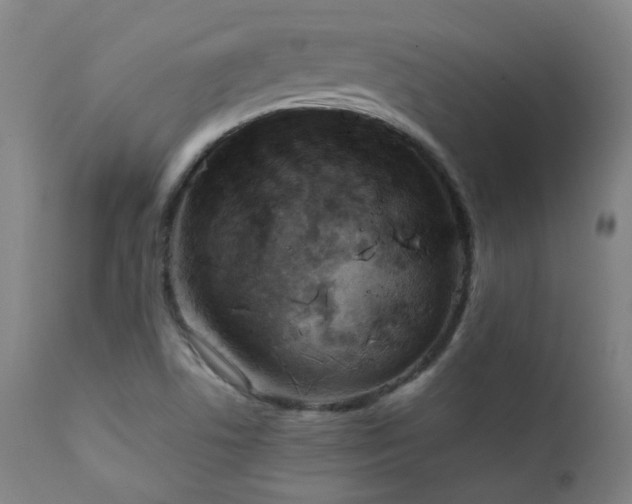 X0000111921506200907271235