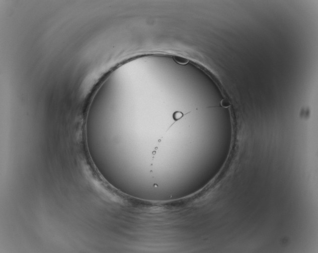 X0000111921507200907271235