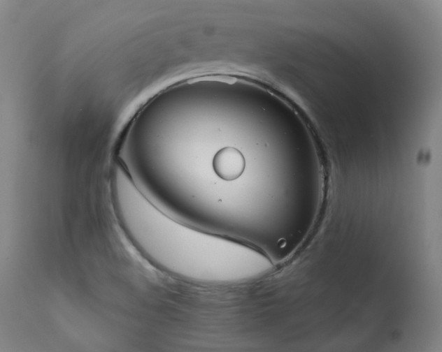 X0000111921508200907271235