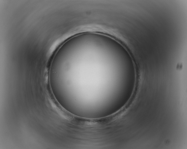 X0000111921509200907271235