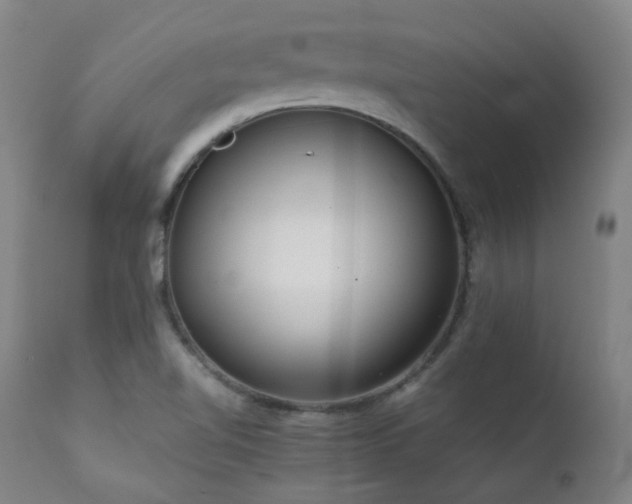 X0000111921510200907271235
