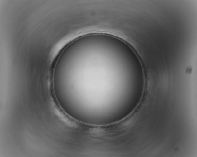 X0000111921511200907271235