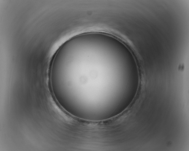 X0000111921512200907271236