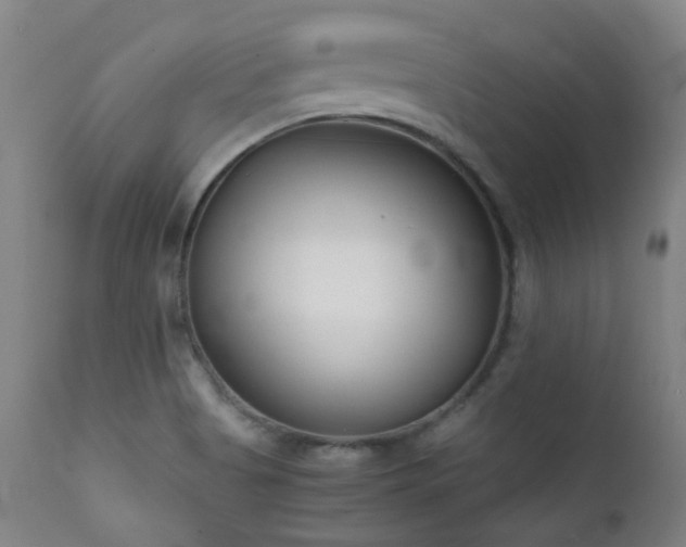 X0000111921513200907271236