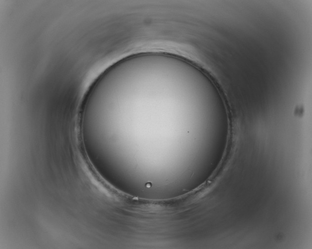 X0000111921517200907271236