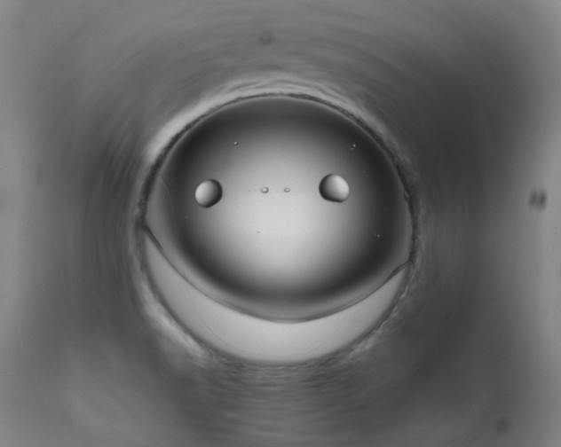 X0000111921518200907271236