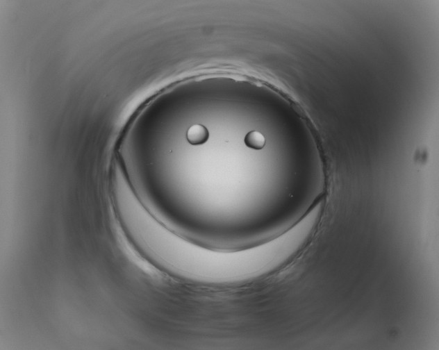 X0000111921519200907271236
