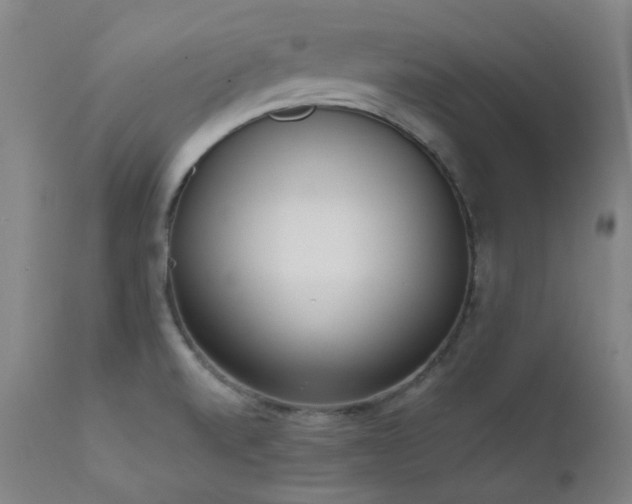 X0000111921520200907271236